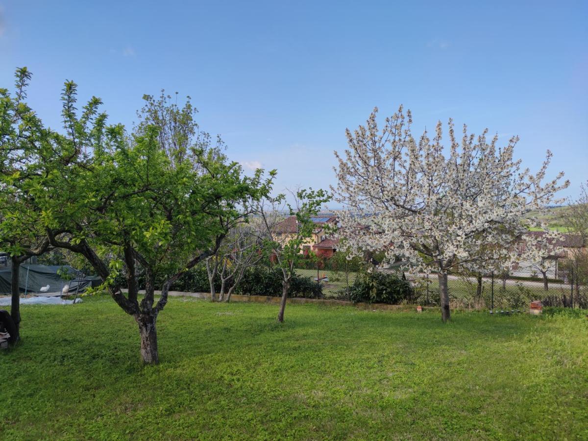 Relax In Collina A Due Passi Dal Mare Apartamento Torriana Exterior foto